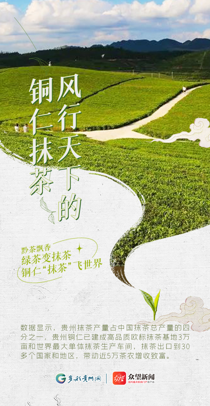 抹茶币新闻(抹茶币未来)