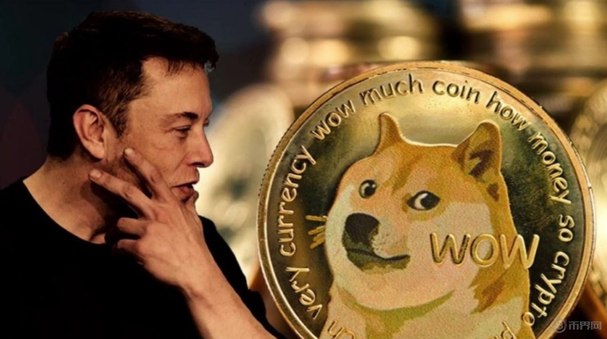 狗币钱包官网(狗币钱包手机版下载)