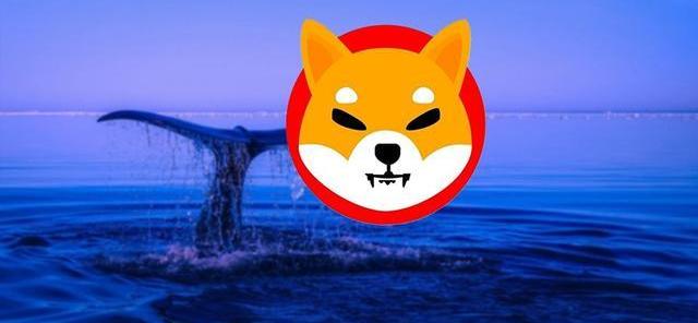 shib钱包下载(shib钱包怎么下载) shib钱包下载(shib钱包怎么下载)